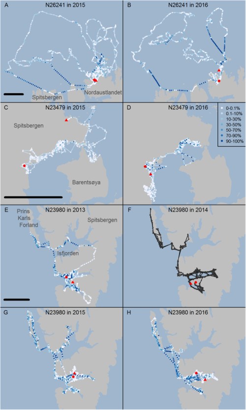 Lone et al. 2018 diving swimming capabilities of polar bears fig 6