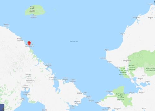 Chukotka polar bear problems_7 November 2018