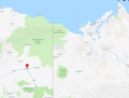 fort yukon ak polar bear sighting 2008