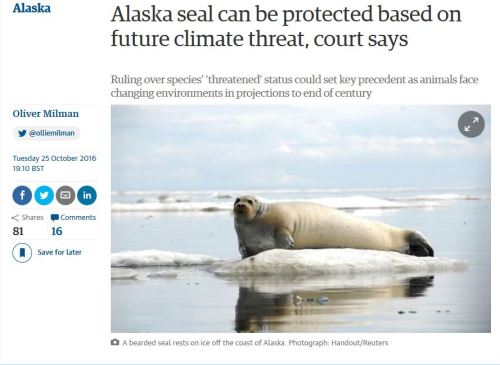 Bearded Seal_25 Oct 2016_9th Circ. Backs Climate Predictions_The Guardian headline