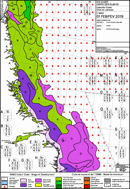 Labrador coast daily stage of development 2019 Feb 1
