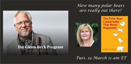 Beck interview blog post header DRAFT 12 March 2019