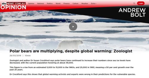 Bolt report interview intro_26 March 2019