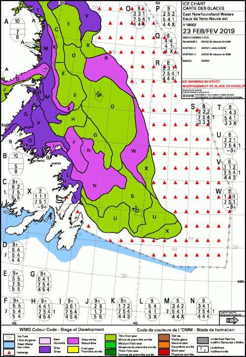 Newfoundland NE daily stage of development 2019 Feb 23 ice warning