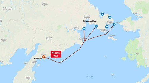 Polar bear visits Kamchatka