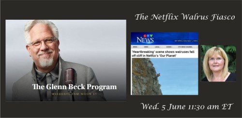 Beck interview blog post header 5 June 2019 Walrus fiasco