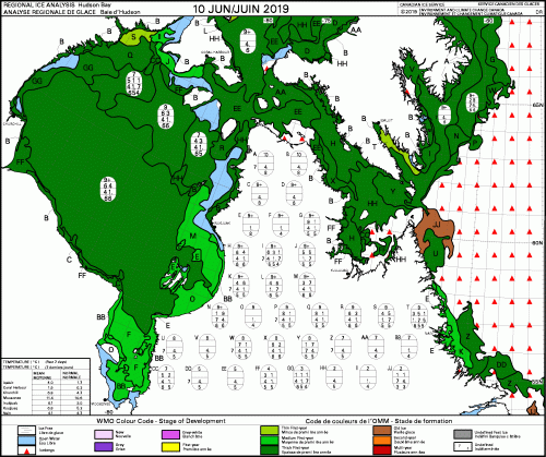 Hudson Bay weekly stage of development 2019 June 10