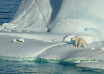Polar bear on ice_SARA registry webpage_gov Can