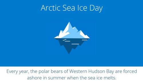 PBI Arctic Sea ice day_July 15 2019 headline