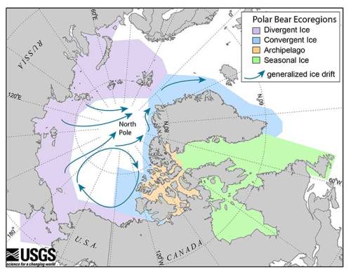 USGS_pbear_ecoregions_sm