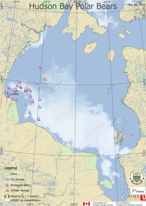 WH polar bears Derocher tags_6 July 2019