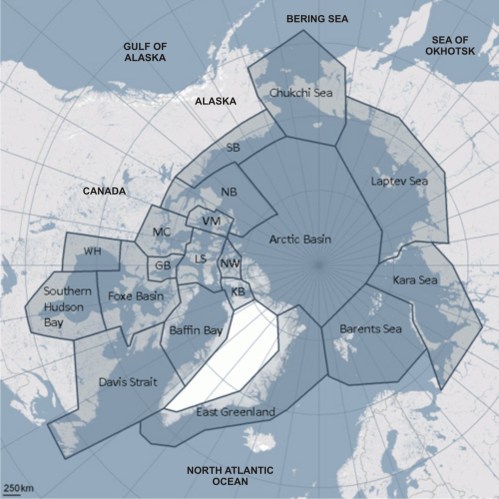 Polar bear regions_larger