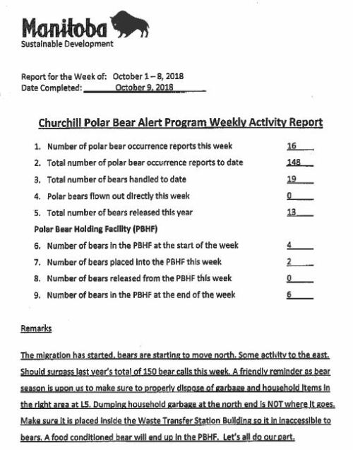 Churchill problem bears_week 14_2018 Oct 1-8