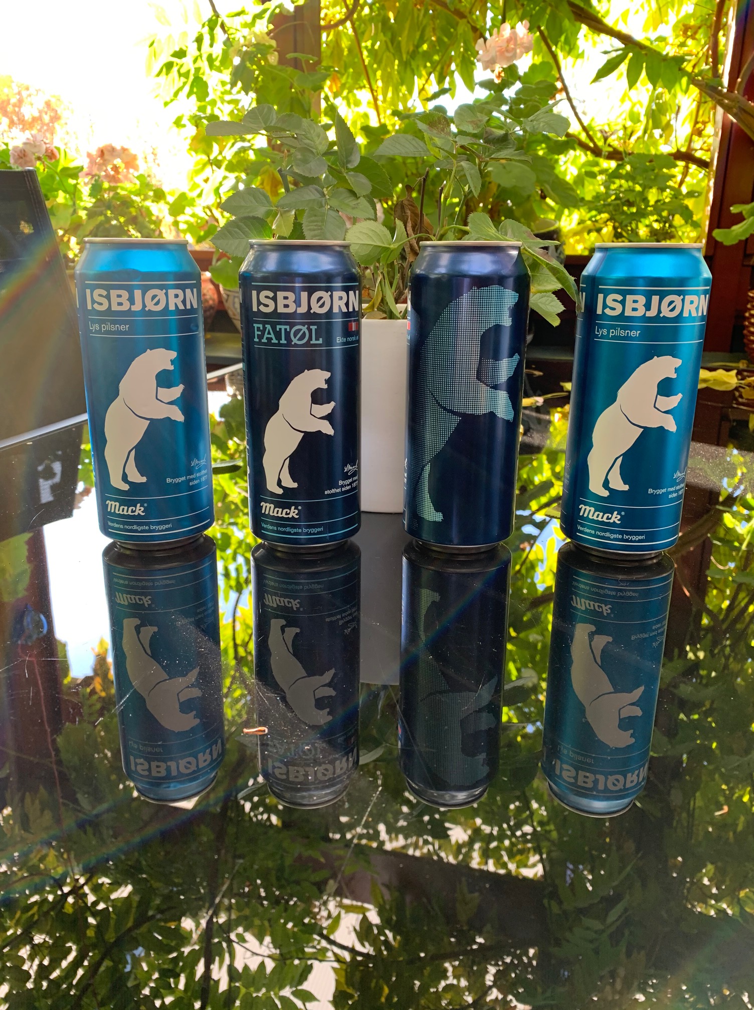 Polar bear beer ISBJORN_Jan Erik OSLO 23 Oct 2019