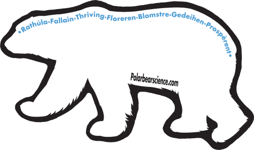 Bear image final from vector R3