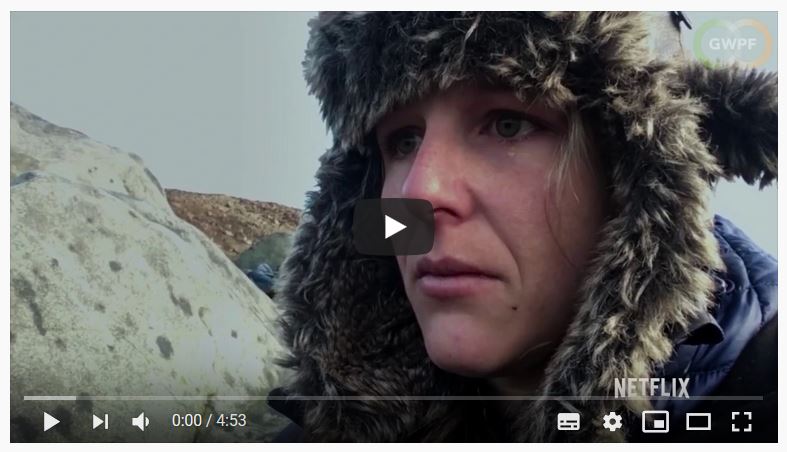 Falling walrus deception video 19 Dec 2019