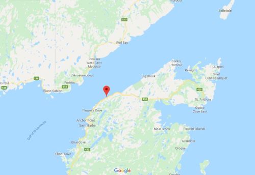 Green Island Cove Newfoundland map Google