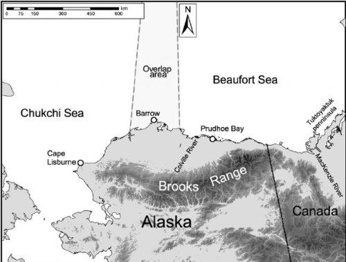 Beaufort Chukchi Sea polar-bear distribution from Cronin et al 2006