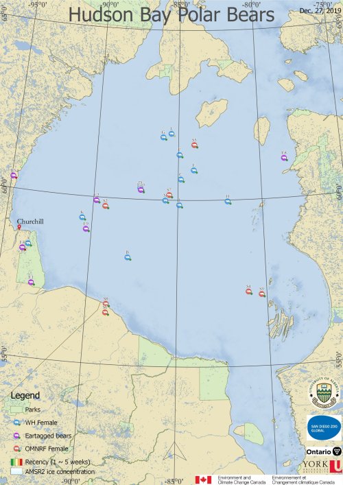 Derocher 2019 WHB tracking map 27 December