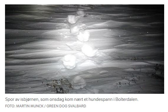 Svalbard polar bear encounter 15 Jan 2020_footprints