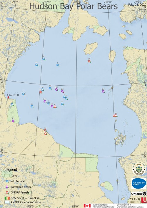 Derocher 2020 WHB tracking map 8 Feb