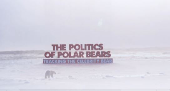 Politics of polar bears title