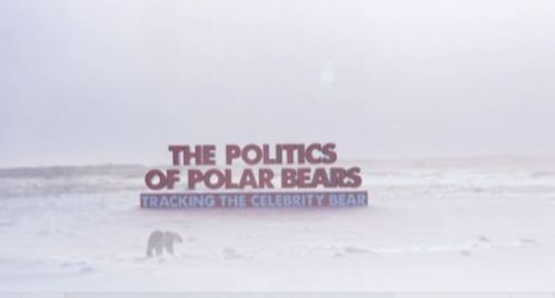 Politics of polar bears title