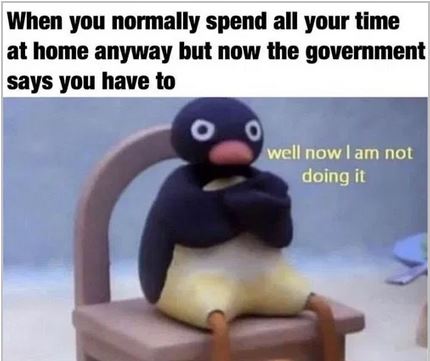 Corona meme grumpy from Donna