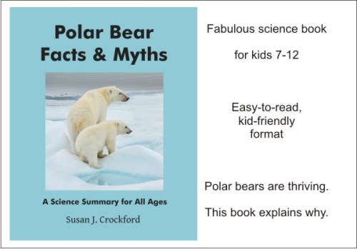 FM polar bear day 2017 graphic 1_crockford