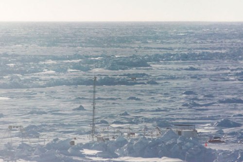 Polarstern 2020 polar bear_April_photo3_sfons_2020 04 23_Nr1_Steven Fons