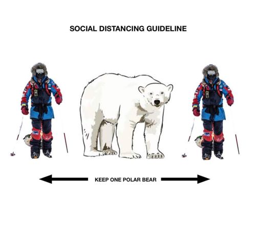 Svalbard social distancing_keep one polar bear away_icepeople 3 April 2020