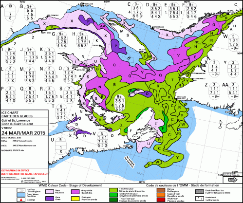 Sea ice Gulf March 24_2015_CIS