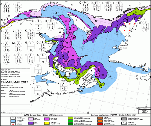 Sea ice Gulf March 24_2017_CIS