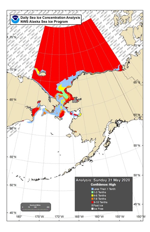 Chukchi Bering sea ice 2020 May 31 concentration lg
