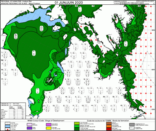 Hudson Bay weekly stage of development 2020 June 1