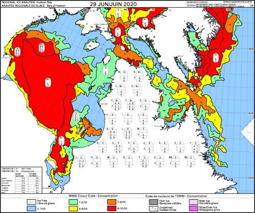 Hudson Bay weekly concentration 2020 June 29 PNG
