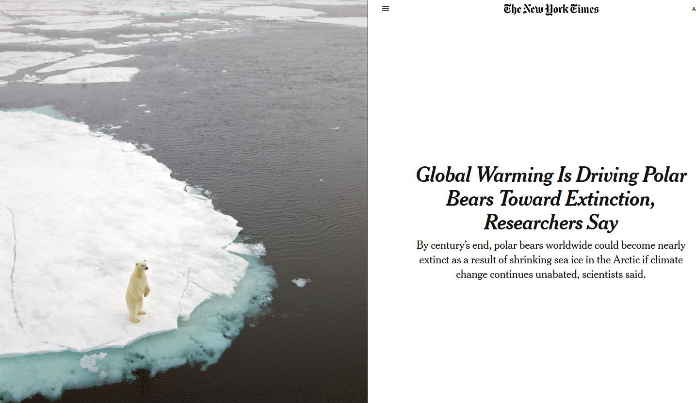 New York Times headline _climate change pushing pbs to extinction_20 July 2020