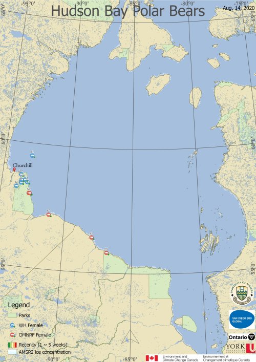 Derocher 2020 WHB tracking map 14 Aug_1 bear still on the ice