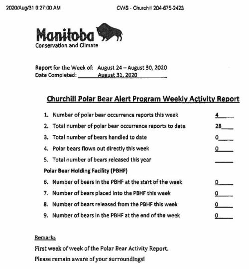 2020 Aug 31 - Polar Bear Stats_week 1 jpeg