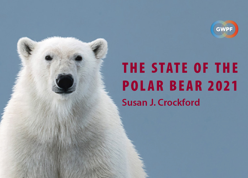 I Mean Actual Bears Bear Porn - State of the Polar Bear 2021: polar bears continued to thrive |  polarbearscience